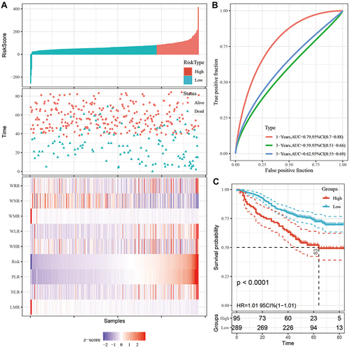 Figure 2 The new risk model was established to detect the OS of patients with BLCA in the training set. All patients were distinguished into high and low risk based on the risk score (A), upper; the relationship between survival time and prognosis of patients in the two corresponding groups (A), middle; the heatmap of inflammatory marks between the two groups (A), lower. Receiver operating characteristic (ROC) curve analysis of the new prognostic model at 1, 3, 5 years (B). Kaplan–Meier curves showing OS of groups with different risk (C).