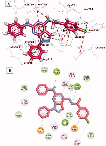 Figure 11. (A) 3 D interaction of compound 12 b docked into the active site of EGFRWT. The hydrogen bonds were represented in green dashed lines. The pi interactions were represented in orange lines. (B) 2 D interaction of compound 12 b docked into the active site of EGFRWT.