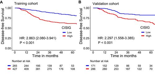 Figure 4 Crude survival curves, stratified by the circulating inflammation signature (CISIG) values in the training cohort (A) and validation cohort (B).