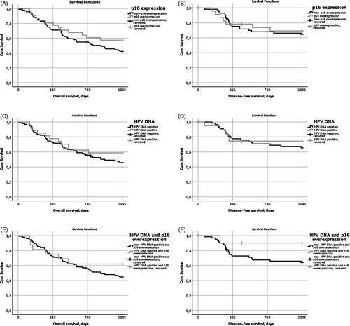 Figure 1. Overall survival (OS) and disease free survival (DFS) in correlation to presence or absence of p16 overexpression and HPV DNA in non-tonsillar and non-base of tongue oropharyngeal squamous cell carcinoma. (A) OS in correlation to p16 overexpression or not; (B) DFS in correlation to p16 overexpression or not; (C) OS in correlation to presence or absence of HPV DNA; (D) DFS in correlation to presence or absence of HPV DNA; (E) OS in correlation to both presence of p16 overexpression and presence of HPV DNA or remaining cases; and (F) DFS in correlation to both presence of p16 and presence of HPV DNA or remaining cases.