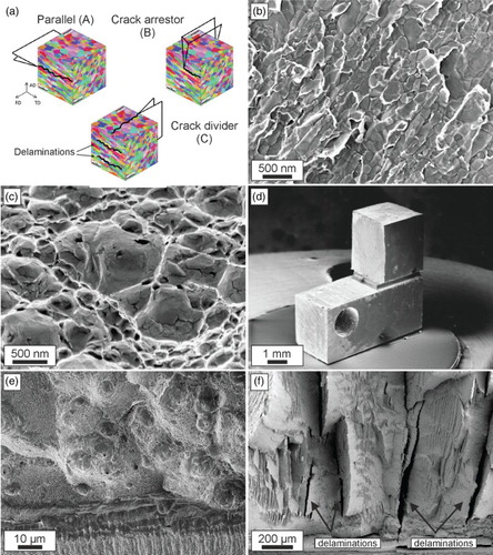 Figure 2. Overview describing the fracture behavior of UFG-iron and nickel. (a) Principal crack planes and crack growth directions investigated for both materials. For simplicity, the crack plane and crack propagation direction of a specimen orientation are abbreviated as A, B or C. Fractographs for crack growth along the elongated microstructure in iron with intergranular fracture (b) and nickel exhibiting transgranular micro-ductile fracture (c). (d) Iron fracture sample with crack-arrestor orientation. (e) Micro-ductile fracture surface found in Ni for the third testing direction. (f) Fracture surface exhibiting various delaminations (some of them are indicated with arrows) typical for iron for the third orientation (crack-divider orientation).