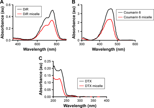 Figure S1 UV-Vis absorption spectra of free DiR and 48 nm DiR micelle (A), free coumarin 6 and 48 nm coumarin 6 micelle (B), free DTX and 48 nm DTX micelle (C).Abbreviations: DiR, 1,1′-dioctadecyl-3,3,3′,3′-tetramethylindotricarbocyanine iodide; DTX, docetaxel; UV-Vis, ultraviolet–visible.