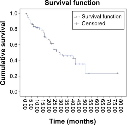 Figure 1 Kaplan-Meier survival curve showing cumulative survival over time in months.