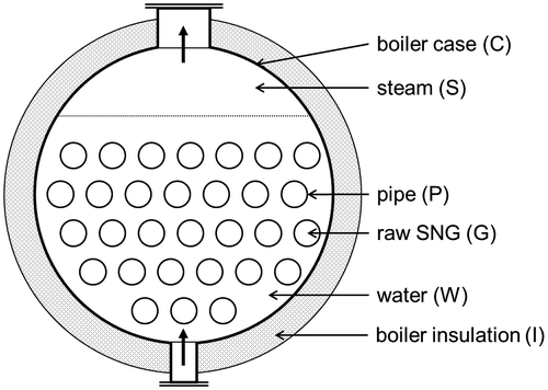 Figure 3. Cross-section through the steam generator naming the modelled phases. The number of pipes in this sketch is lower than in the model.