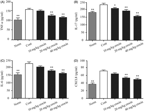 Figure 4. The effects of crocin on the release of TNF-α, IL-17, IL-6 and CXCL8 into the serum of CIA rats. (A) TNF-α content; (B) IL-17 content; (C) IL-6 content; (D) CXCL8 content. Norm: normal rats; Cont: control CIA rats. Data are presented as the mean ± SE (n = 15). *p < 0.05, **p < 0.01, compared with the Cont.