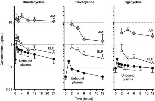 Figure 3. Mean (standard deviation) unbound plasma, alveolar macrophages (AM), and epithelial lining fluid (ELF) concentration–time curves after multiple intravenous doses in healthy patients. Taken from [Citation48]. Originally published by and used with permission from Dove Medical Press Ltd.