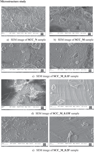 Figure 14. SEM images of the samples from the concrete mixes considered for the study.
