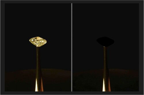 Figure 6. The uncoated diamond and diamond coated with VACNT [Citation12].