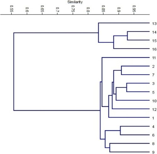 Figure 5. Dendrogram for the sixteen alfalfa cultivars constructed from SCoT data using UPGMA and similarity matrix computed according to Dice coefficient.