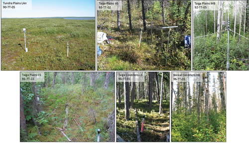 Figure 2. Site photos with representative vegetation cover for each ecoregion sampled. More site details can be found in the Supplementary Material Table S1 (Smith et al. Citation2009; Duchesne, Riseborough, and Smith Citation2014).