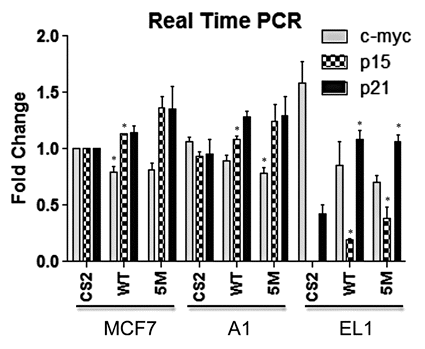 Figure 3 Expression of Smad3-regulated genes in study cell lines. MCF7 study cells were transfected with wild-type Smad3 (WT) or the 5M Smad3 CDK phosphorylation site mutant and transcript levels of c-myc, p15 and p21 were measured by real-time quantitative RT-PCR. * denotes significant difference from cells transfected with CS2 control for each cell line.