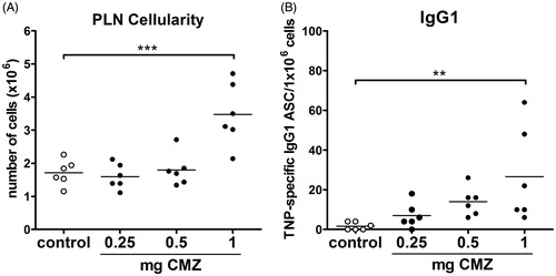 Figure 2. Determination of suboptimal dose of CMZ. Mice (n = 6/group) were injected in hind footpad with 0.25, 0.5 or 1 mg CMZ together with 10 μg TNP-Ficoll. After 7 days, mice were euthanized, PLN isolated and (A) PLN cellularity and (B) TNP-Ficoll-specific IgG1 ASC were determined. Values shown are means ± SEM of vehicle- or drug-exposed group. **p < 0.01, ***p < 0.001; value significantly different vs. respective vehicle-exposed group.