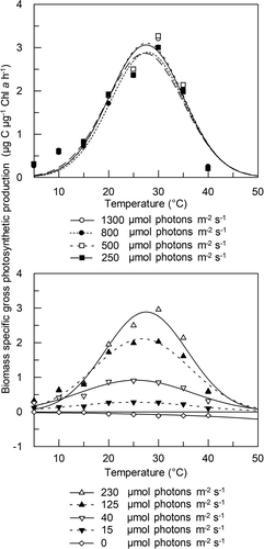 Fig. 6. Photosynthesis-temperature (P-T) curves of the Picochlorum sp. PMFPPE4 strain measured in different light intensity ranges