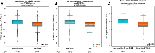 Figure 2 OVOL2 was significantly lower in basal/TNBC subtype. Expression level of OVOL2 was significantly lower in basal-like (A), TNBC (B) and basal-like and TNBC (C) subtype based on DNA microarrays of bc-GenExMiner v4.8 database. (Figures were automatically generated from the database. The “*” represents the values of samples. p < 0.0001).