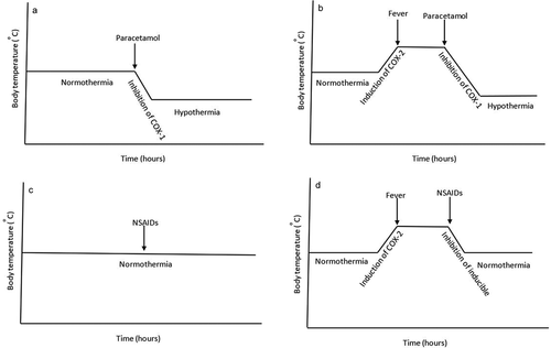 Figure 8. Proposed schematic representation of the effect of paracetamol and NSAIDs on body temperature. The paracetamol-induced hypothermia under normothermia (Panel A) and febrile conditions (Panel B) is proposed to be mediated through the inhibition of a hypothalamic COX-1 variant enzyme. Most NSAIDs are non-hypothermic (Panel C), but are able to reduce febrile temperature through inhibition of inducible hypothalamic COX-2 enzyme