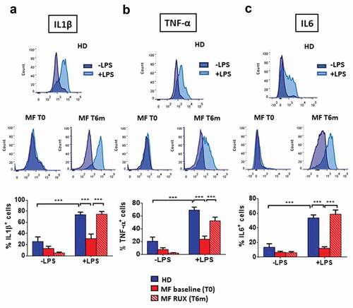 Figure 4. Intracellular monocyte production of inflammatory cytokines before and after RUX therapy. Intracellular production of pro-inflammatory cytokines in total monocytes from PBMC of healthy donors (HD; n = 30) and MF (n = 30) PBMCs (at baseline (MF baseline T0) and after 6 months of RUX therapy (MF RUX (T6 m); n = 20) with or without LPS stimulation (4 hours) is shown. Above, representative histograms identify the IL1β (a), TNF-α (b) and IL6 (c) positive total monocyte of one healthy donors (HD) and one MF patient (at baseline (T0) and after 6 months of RUX therapy (T6 m)) in the presence or absence of LPS stimulation. Unstimulated (blue) and LPS-stimulated (light blue) monocytes are shown superimposed on each other. Below, bars represent the mean percentage of monocytes producing IL1β (A), TNF-α (B) and IL6 (C) ± S.E.M. (Two-way ANOVA test; ***p < .001).