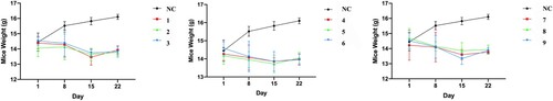 Figure 1. The weight changes of mice from day +1 to day +22. All model mice had lower weight than the group NC, model group vs. group NC, p < 0.01. However, there were no significant differences among model groups.