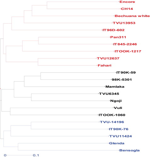 Figure 2. Dendrogram based on UPGMA depicting the genetic relationship among 22 cowpea genotypes using seed mineral elements and protein content; Pro = protein; Ca = calcium; Cu = copper; Fe = iron; K = potassium; Mg = magnesium; Mn = manganese; Na = sodium; P = phosphorus; Pro = protein; Zn = zinc.