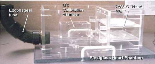 Figure 7. Plexiglass cardiac intervention phantom showing the “esophagus” - the black tube where the TEE probe is inserted to simulate the intra-operative application - and PVA-C membranes representing heart wall tissue.