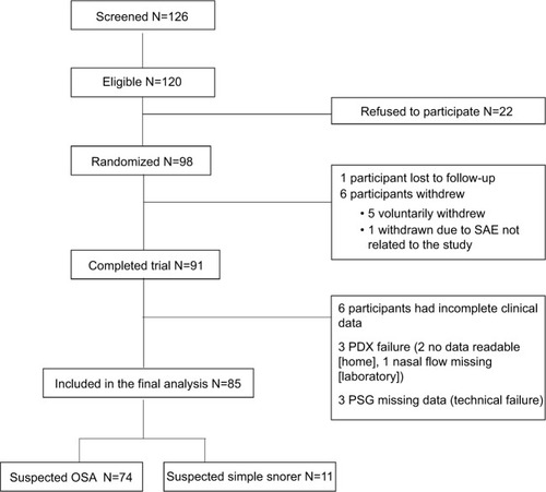 Figure 1 Flowchart of the study.