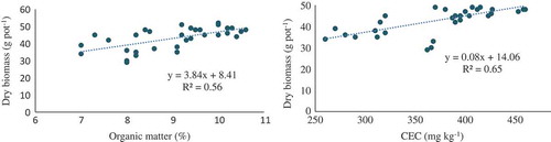 Figure 2. Relationship of dry biomass of mint versus organic matter and cation exchange capacity (CEC) of soil.