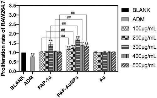 Figure 5. The biosafety of PAP-AuNPs in vitro. The proliferation rate of PAP-1a and PAP-AuNPs at various concentrations on RAW264.7. *p < .05, **p < .01. #p < .05, ##p < .01.