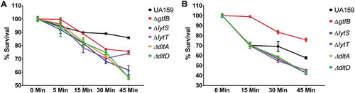 Figure 5. S. mutans parental UA159 and deletion strains ΔgtfB, ΔlytT, ΔlytS, ΔdltA and ΔdltD tolerance to hydrogen peroxide. The graphs show the different survival percentages of the strains population from planktonic culture (a) and biofilms (b) after longitudinal exposure to H2O2. The data shown are the means, and the error bars correspond to the standard deviation (n = 6 per group).