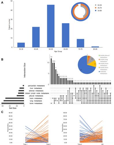 Figure 2 Clinical features of patients. (A) The distribution of age when patient diagnosed as leptomeningeal metastases. (B) The distribution of common metastatic sites. (C) The time from the initiation of metastases to the involvement of leptomeningeal metastases (Time 2) was related positively to the time from the onset of lung cancer to the metastases (Time 1), while negatively to the survival after leptomeningeal metastases.