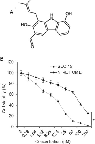 Figure 1. Heptazoline inhibits viability of SCC-15 cells: (A) Structure of heptazoline and (B) XTT assay showing the cell viability of the SCC-15 and hTRET-OME 1 cells after heptazoline treatment. The experiments were done in triplicates (*P < 0.05).