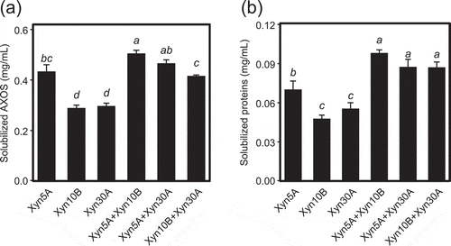 Figure 5. Combinatorial effects of xylanases on release of AXOS (a) and proteins (b) from corn dried distiller’s grains with solubles (DDGS).Ten µg/mL of a single enzyme or a mixture of 5 µg/mL each of two xylanases, for a total of 10 µg/mL of enzyme, was incubated with 2.5% (w/v) DDGS in 50 mM Britton-Robinson buffer, pH 6.0 for 5 h. The concentration of solubilized AXOS and protein were calculated by subtracting the value of the enzyme blank. Error bars represent SDs for triplicate reactions, each measured once. Bars with identical letters indicate no significant difference from one another by the Tukey test at the 5% probability level.