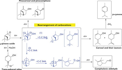 Figure 10. Schematic representation of the main reaction pathways in isomerization of α-pinene epoxide into various products.1=Campholenic aldehyde, 2=carveol and their isomers, 3=p-cymene, 4=pinocarveol, 5=pinocamphone, 6=trans-sobrerol ether.