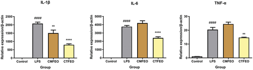 Figure 3. Inhibition on LPS-induced mRNA expression of IL-1β, IL-6, and TNF-α of two essential oils at 10.0 μg/mL. ####p<.0001, in comparison with control group; **p < .01, in comparison with LPS group; ****p < .0001, in comparison with LPS group.