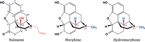 Figure 5. Molecular structure comparison among opioid receptor agonists and antagonist used in the study. Naloxone's difference in stability profiles from morphine and hydromorphone may be explained by the presence of a tertiary alcohol group instead of H at C-14 and the presence of an allyl group instead of a methyl group at N-17.