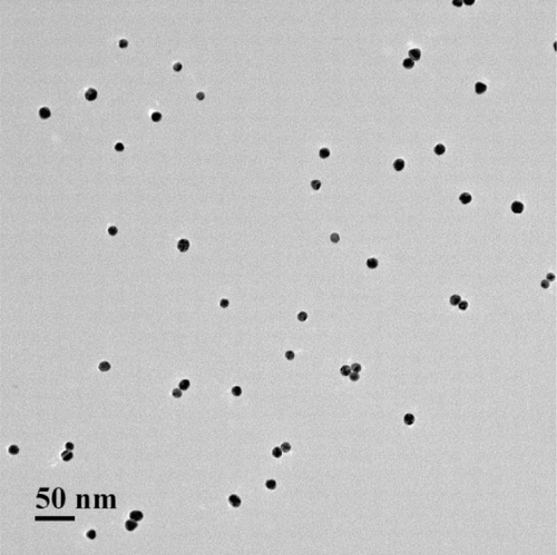 Figure S1. TEM image of the synthesized gold nanoparticles.