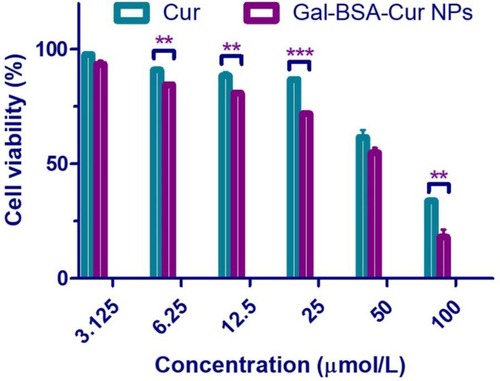 Figure 1 The cell viability of Cur and Gal-BSA-Cur NPs on Caco-2 cells.Notes: Each point represents the mean ± standard deviation (n=6). **P < 0.01, ***P< 0.001, compared to Gal-BSA-Cur NPs.Abbreviations: Cur, curcumin; Gal-BSA-Cur NPs, curcumin-loaded galactosylated BSA nanoparticles.