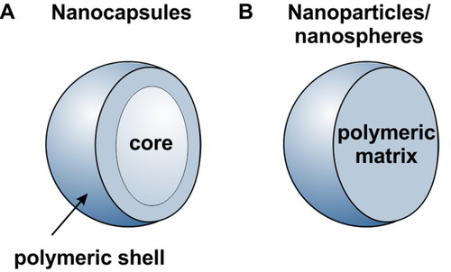 Figure 2 Schematic illustration of nanocarriers (A) nanocapsules (B) nanoparticle/nanospheres.