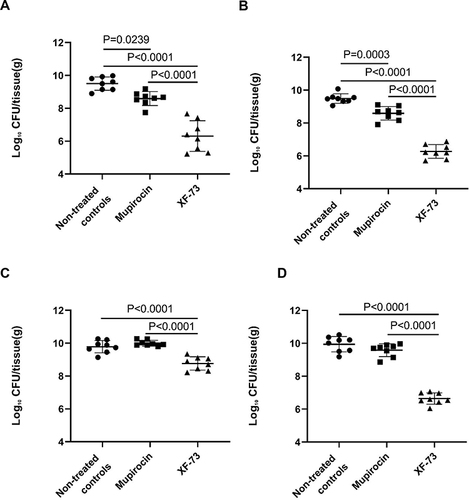 Figure 1 Efficacy of XF-73 dermal formulation (0.2% w/w) and mupirocin ointment (2%) against tape-stripped mice infected with (A) Staphylococcus aureus NRS384,(B) Low-level mupirocin-resistant strain S. aureus NRS384-MT-3 or (C and D) High-level mupirocin-resistant strain S. aureus ATCC BAA-1708. Mice were treated with a single dose of XF-73 or mupirocin (A–C) or two doses (D). Each data point corresponds to the log10 CFU/ wound tissue(g) measured. Data are presented as mean ± SD (n = 8 mice per treatment group).