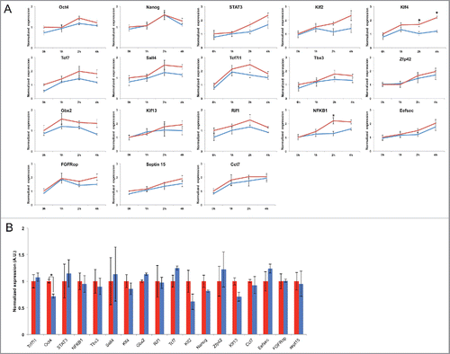 Figure 2. (A) pre-mRNA levels of selected genes at 0, 1, 3 and 6 h post-nocodazole release. (B) pre-mRNA levels of the same genes in unsynchronized cells. Error bars: SE. *p<.05. Scale bar: 5μm.