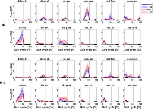 Figure A3. Muscle forces estimated by the Gen (red) and SubS (blue) models for 12 selected muscles at M0 and M12. Black bars indicate statistical significance at P < 0.05 between models. Selected muscles are biceps femoris long head, biceps femoris short head, gastrocnemius lateralis, gastrocnemius medialis, rectus femoris, semimembranosus, soleus, tibialis anterior, tibialis posterior, vastus intermedius, vastus lateralis and vastus medialis.