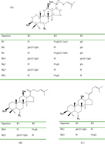 Figure 1. Chemical structures of saponins R1, Rd, Re, Rb1, Rg1, Rg3, Rh1 (A), saponins Rh4, Rg5 (B) and saponins Rk1, Rk3 (C).