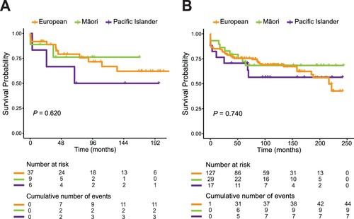 Figure 2. Overall survival of European, Māori and Pacific Island patients with acute promyelocytic leukaemia (APL). Kaplan-Meier curves comparing cumulative survival probability between European, Māori and Pacific Island patients with APL treated in Auckland City Hospital (A) and recorded in the New Zealand Cancer Registry (B) between 2000 and 2017.