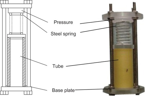Figure 1 Schematic of self-designed loading device (left) and photo of device (right). The membrane tubes’ mechanical strength changed: after degradation of 3 months, six membrane tubes of each group were dried naturally in air, and then axial compression and three-point bending-stress tests were performed. The stress–strain curve was recorded. The pressure signal was recorded and analyzed by a computer data-acquisition system.