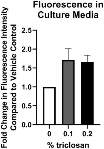 Figure 6. Repeated exposure to triclosan on EpiDerm tissues had no significant impact on permeability. Fold-change in fluorescence intensity compared to vehicle control following 5 days of 0% triclosan (acetone vehicle) or 0.1–0.2% triclosan. Bars represent mean (± SEM) of two samples/group.
