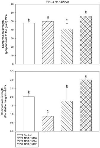 Figure 2. Comparison of the compression strength (perpendicular or parallel to the grain) of Pinus densiflora wood blocks subjected to treatment with selected Streptomyces spp. for 120 days after inoculation with Gloeophyllum trabeum. Means with the same letter on the bar are not significantly different based on Tukey’s honestly significance difference test (p = 1.708e−05 and 2.536e−05 at 95% confidence interval for compression strength perpendicular and parallel to the grain, respectively).