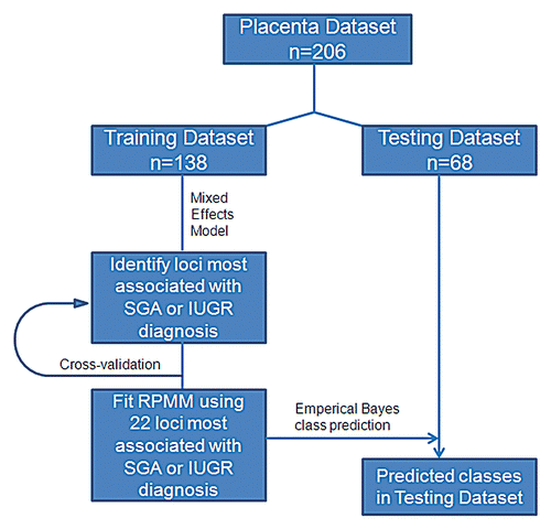 Figure 1 Data analysis schematic. Placenta samples were split into training and testing datasets matched with equal proportions of SGA or IUGR samples in each group. Semi-Supervised Recursively Partitioned Mixture Model data analysis was used to rank the methylation of each locus as associated with SGA or IUGR diagnosis.