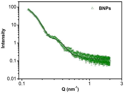 Figure 5 SAXS data of PEGylated bimetallic Au–Ag NPs (BNPs). The solid curves are theoretical fits to the experimental data.