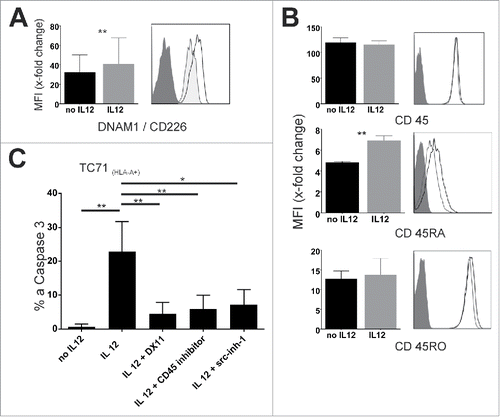 Figure 5. IL12 enabled DNAM-1 mediated cytotoxicity is dependent on CD45 phosphatase activity. (A) Left: Change in DNAM-1 MFI mediated by IL12. Summary from different T-cell populations (early central memory T cells (Melan A), effector memory T cells (clonal STEAP1-sp. and PRAME-sp. Populations)). Results are from more than 10 experiments. Right: representative histogram of DNAM-1 on Melan-A sp. T cells (d + 10) with (empty) and without (tinted) IL12 pre-incubation. Dark-gray: isotype control. (B) Left: change of MFI over isotype in CD45 and subtype expression in STEAP1-sp. clonal populations incubated or not with 10 ng/mL IL12. Right: representative histograms, dark gray is isotype control, light gray no IL12 and black line IL12 incubation. (C) STEAP1 sp. clonal T cells were or were not pre-incubated with IL12 and tested against TC71 Ewing's sarcoma cell line. Reagents were present during assay as indicated (dosages as in 4(B), CD45-inhibitor 3.5 µM) after a pre-incubation time of 90 min on the T cells. Results are from three different experiments, spontaneous apoptosis is subtracted. E/T-ratio 20:1.