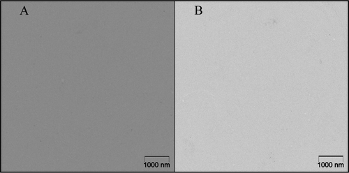Figure 9 Transmission electron microscopy images of 0.9% NaCl (A) and 5% dextrose (B) solutions, without trastuzumab. No particles are visible.