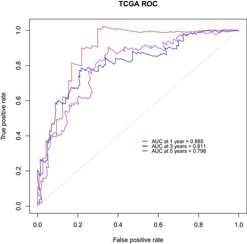 Figure 4 ROC of the five-gene signature for predicting the 1-, 3- and 5-year survival of 272 patients with lower-grade gliomas in TCGA database.