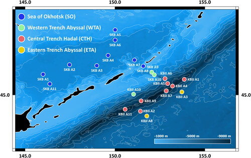 Fig. 1. Sampling area map (Kuril-Kamchatka Trench region). Overview of sampling areas of the KuramBio II (KBII) and SokhoBio (SKB) expeditions in the greater Kuril-Kamchatka Trench region of the North-west Pacific, divided into four different geographic zones following Johannsen et al. (Citation2020).